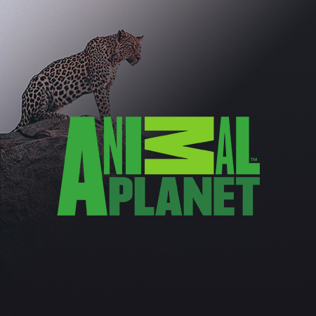 Animal Planet