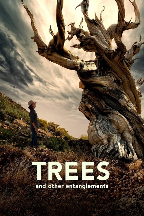 Poster film Copaci și alte încurcături