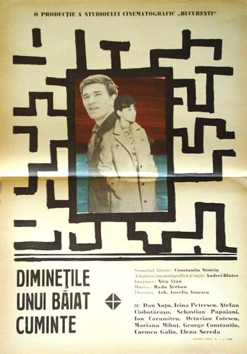 Poster film Diminețile unui băiat cuminte
