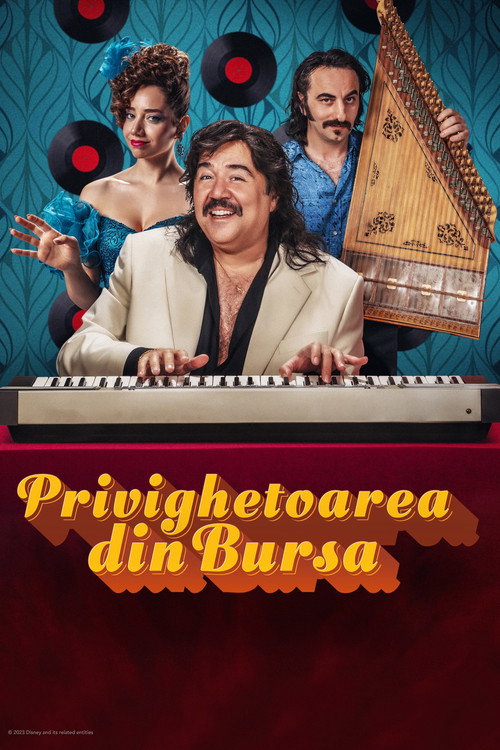 Poster film Bursa