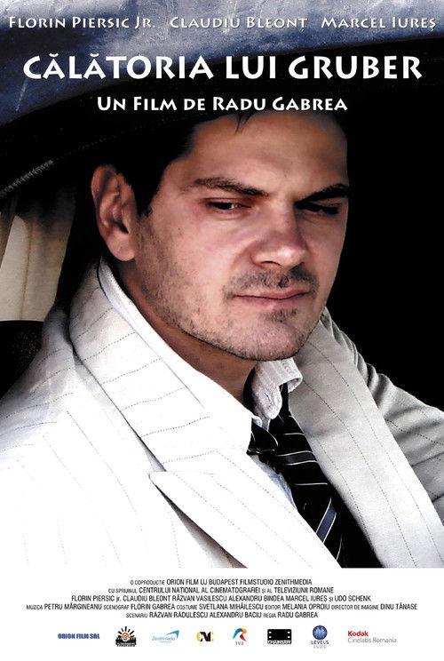 Poster film Călătoria lui Gruber