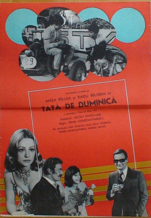 Poster film Tată de duminică