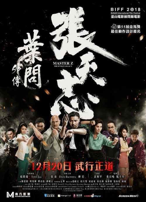 Poster film Maestrul Z: Moştenirea lui Ip Man