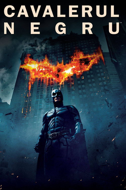 Poster film Cavalerul Negru