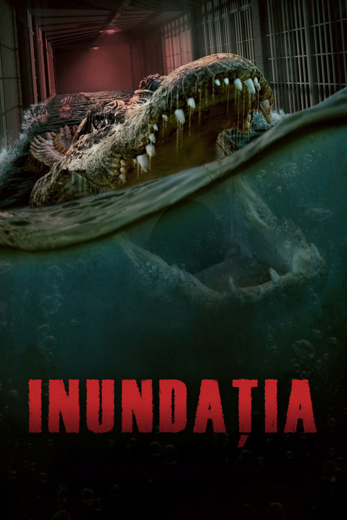 Poster film Potopul