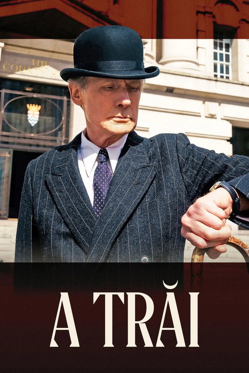 Poster film A trăi