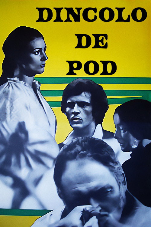 Poster film Dincolo de pod